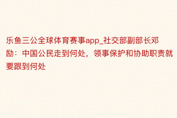 乐鱼三公全球体育赛事app_社交部副部长邓励：中国公民走到何处，领事保护和协助职责就要跟到何处