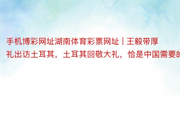 手机博彩网址湖南体育彩票网址 | 王毅带厚礼出访土耳其，土耳其回敬大礼，恰是中国需要的