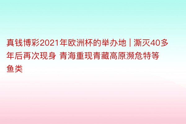 真钱博彩2021年欧洲杯的举办地 | 澌灭40多年后再次现身 青海重现青藏高原濒危特等鱼类